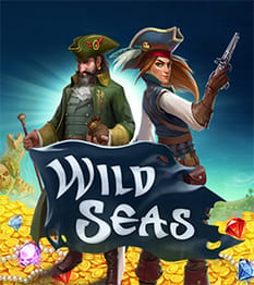 Wild Seas